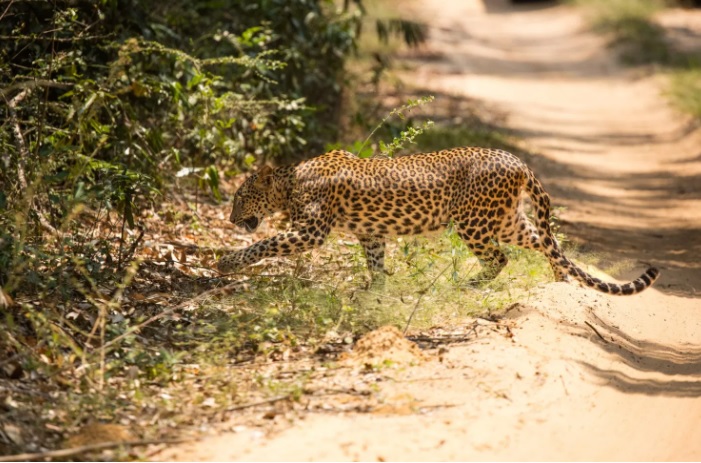 [Image: 7-sai-lam-can-tranh-khi-chup-anh-dong-va...g-da-2.jpg]