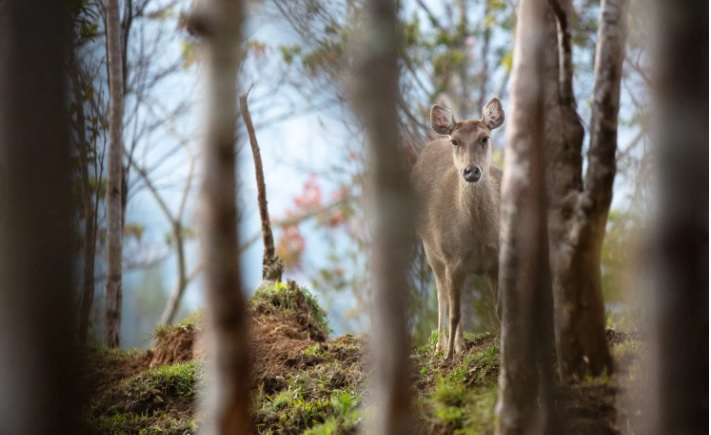 [Image: 7-sai-lam-can-tranh-khi-chup-anh-dong-va...a-4jpg.jpg]