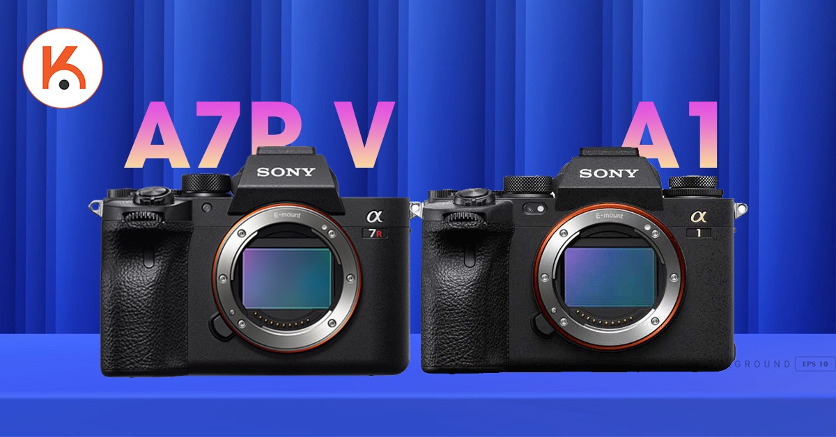 So sánh Sony A7R V vs Sony A1: Sức mạnh liệu có tương xứng?