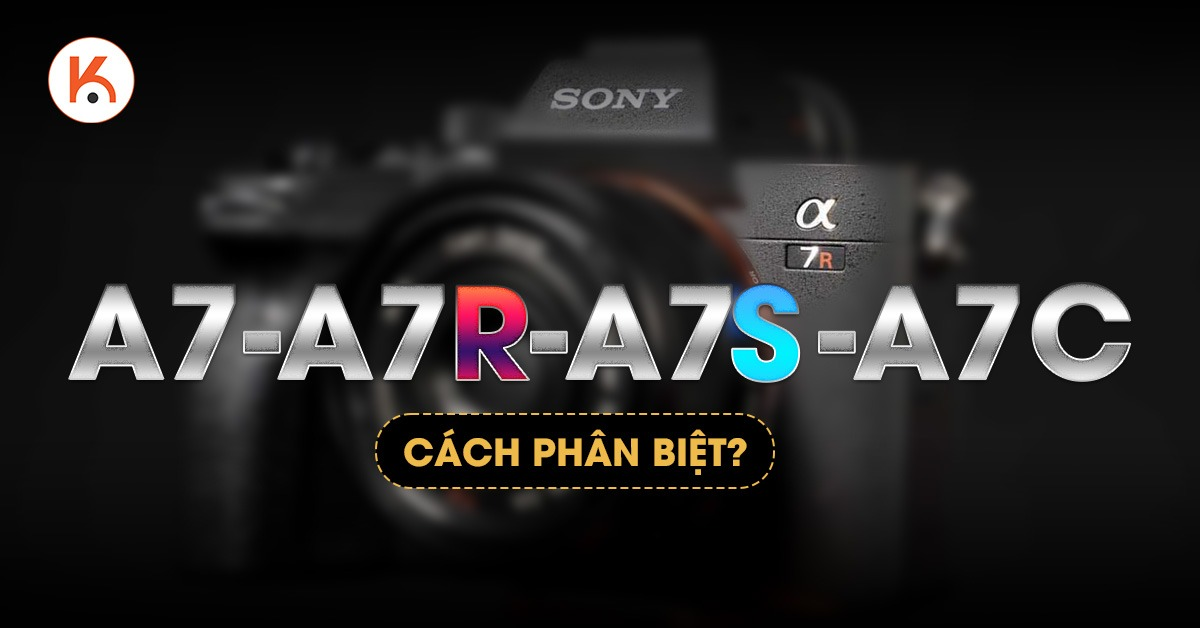 Sony Alpha A7, A7R, A7S và A7C? Dòng máy ảnh nào phù hợp với bạn?