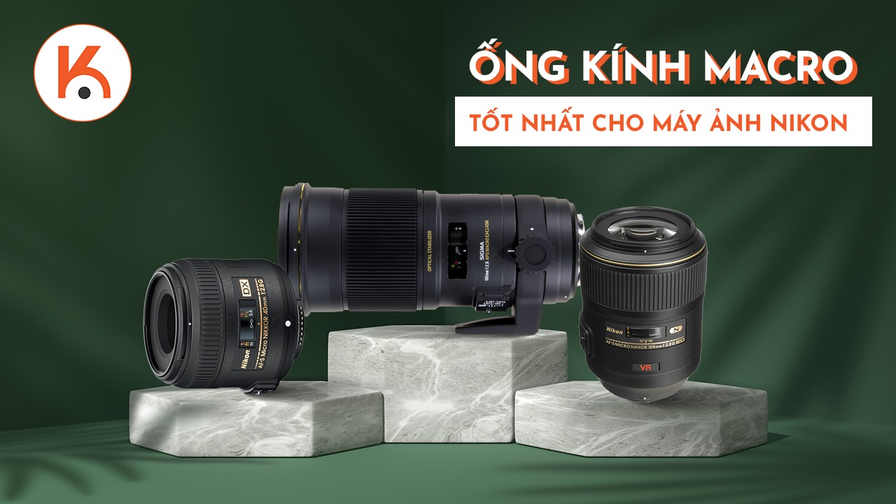 4 lựa chọn ống kính macro tốt nhất cho máy ảnh Nikon