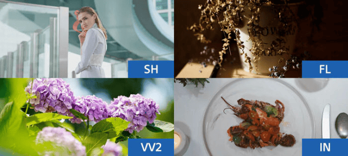  So sánh máy ảnh Sony A7 IV và Sony A7R IV: Đâu là sự khác biệt? (Phần 2)
