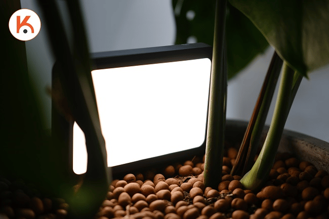 Đèn stream Elgato Key Light Mini -3