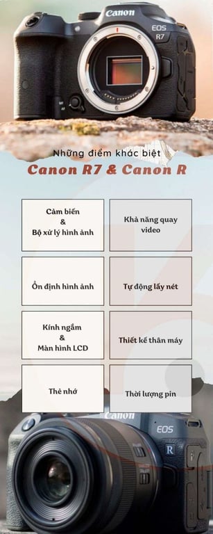 Canon R7 và Canon R: Những điểm khác biệt