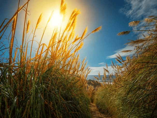  Hiểu rõ về 'tam giác phơi sáng' trong nhiếp ảnh