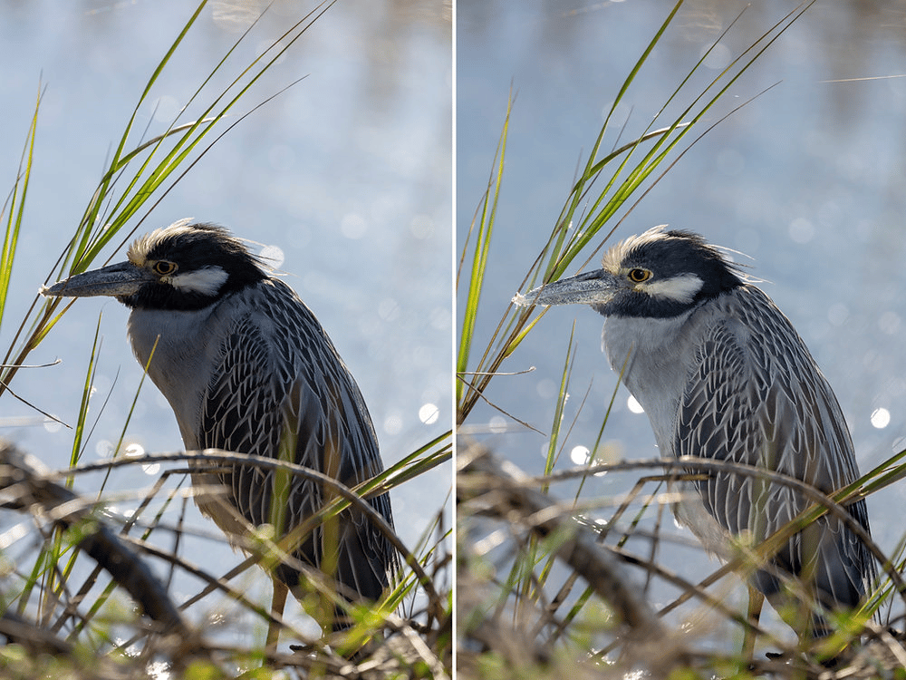Phụ kiện đèn flash giúp kiểm soát ánh sáng nhiếp ảnh dễ dàng