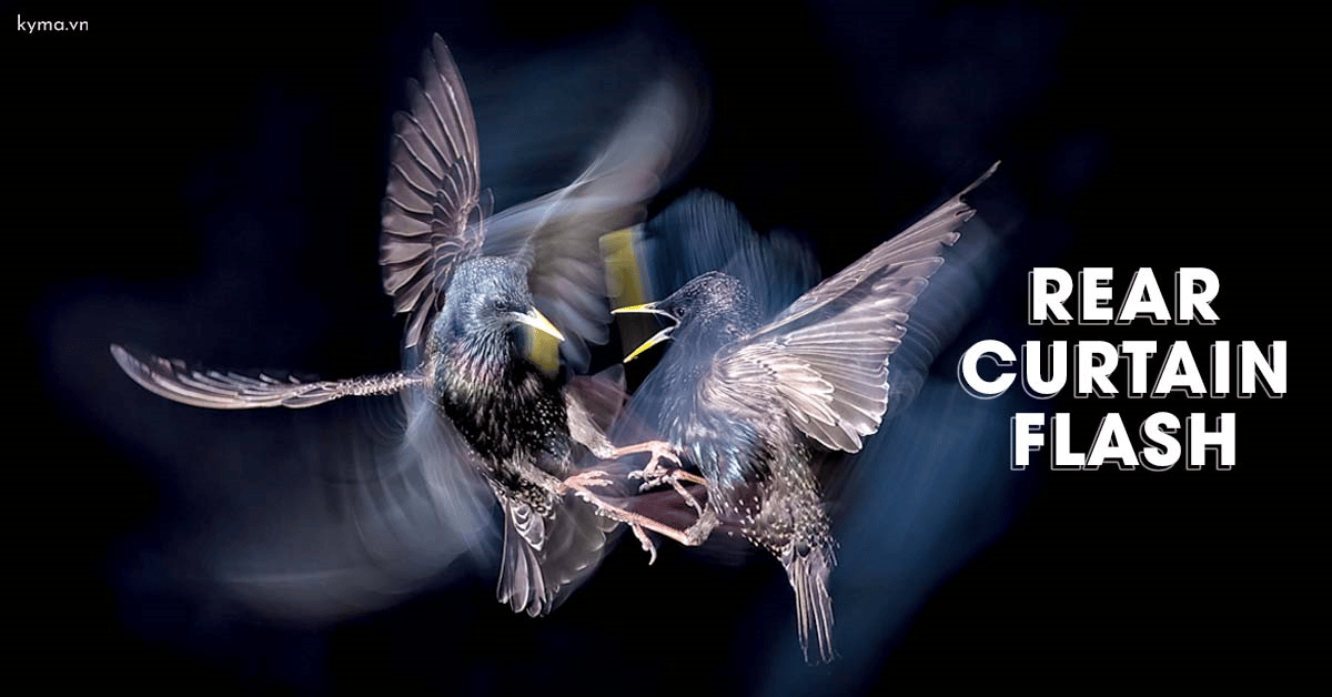 Mẹo chụp ảnh 'ảo diệu' với kỹ thuật Rear Curtain Flash