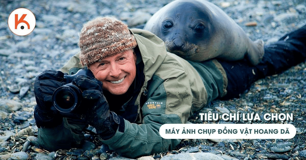 Tiêu chí hàng đầu khi chọn máy ảnh chụp động vật hoang dã là gì?
