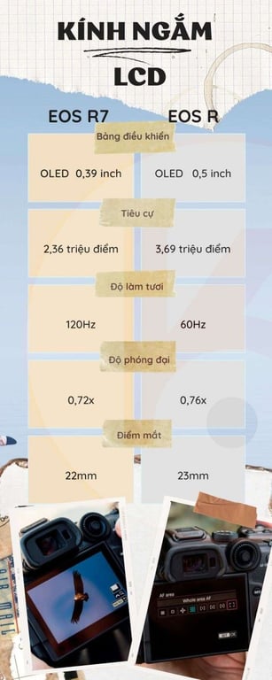 Canon R7 và Canon R: Những điểm khác biệt