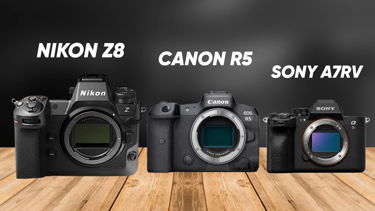 Cuộc chiến pixel giữa Nikon Z8 vs Canon R5 vs Sony A7R V