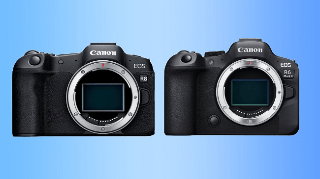 Canon R8 vs Canon R6 Mark II: IBIS đáng giá bao nhiêu?