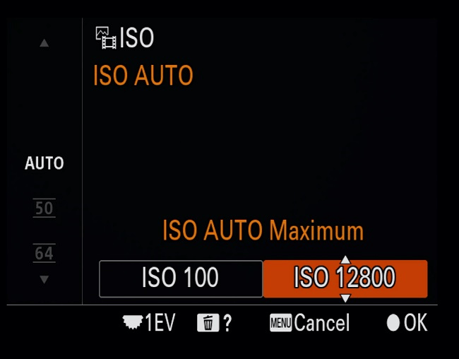 ẹo thiết lập máy ảnh để chụp chim hoang dã