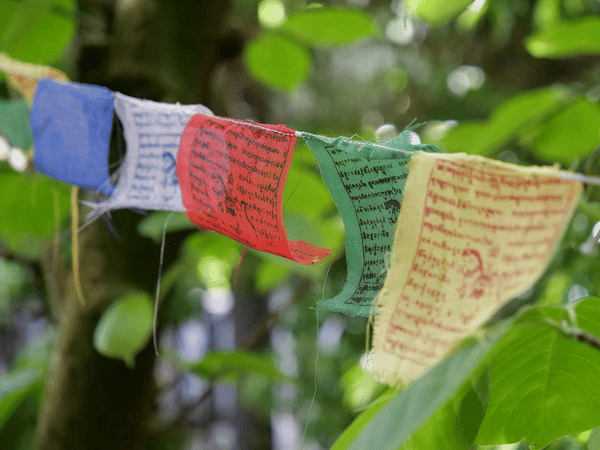 Panasonic ra mắt GH5 Mark II: Bản cập nhật thú vị khiến nó trở nên tuyệt vời hơn