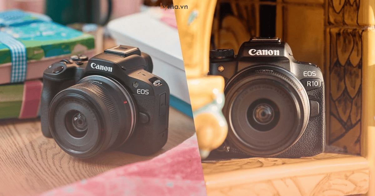 Sự khác biệt giữa EOS R50 và EOS R10 là gì