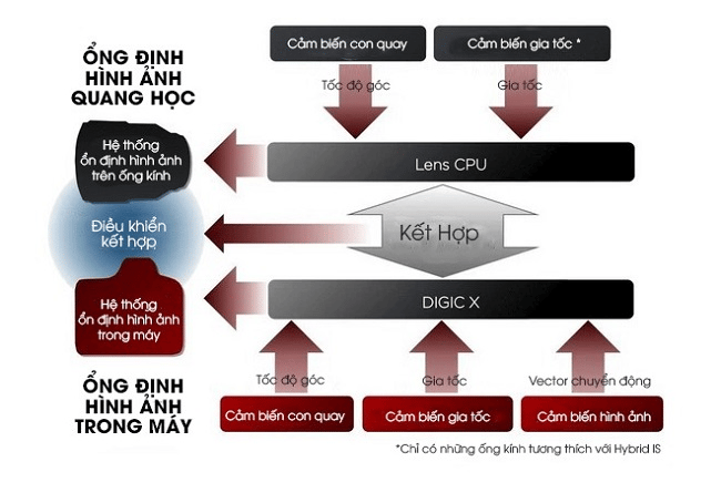 Với 8 điểm dừng IBIS, Canon EOS có đang viết lại cuộc chơi nhiếp ảnh?