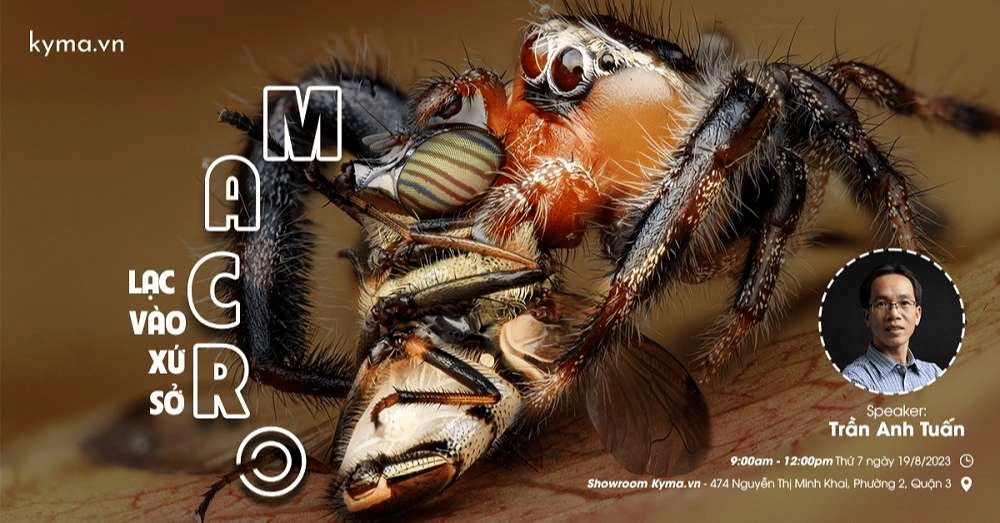 Workshop offline 'Lạc vào xứ sở Macro' đầy hứa hẹn