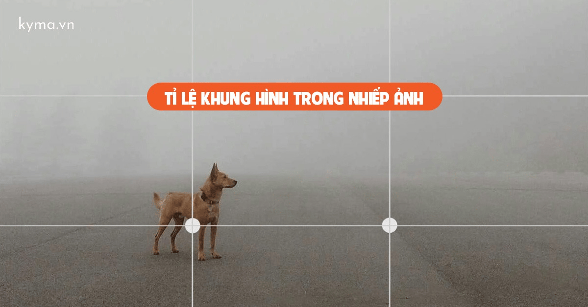 Tỷ lệ khung hình là gì? Sự ảnh hướng của nó đến bố cục ảnh