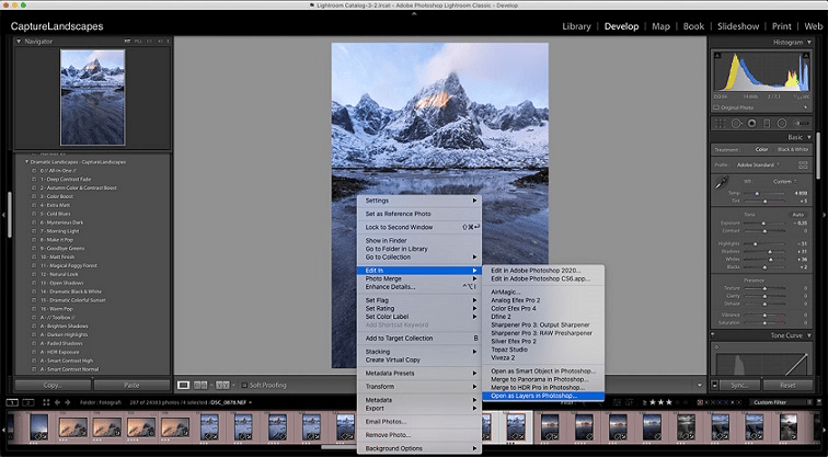 Kĩ thuật chụp ảnh focus stacking dành cho người mới bắt đầu