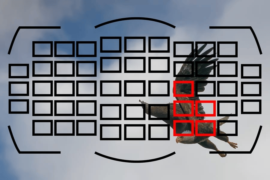 Mẹo thiết lập máy ảnh để chụp chim hoang dã