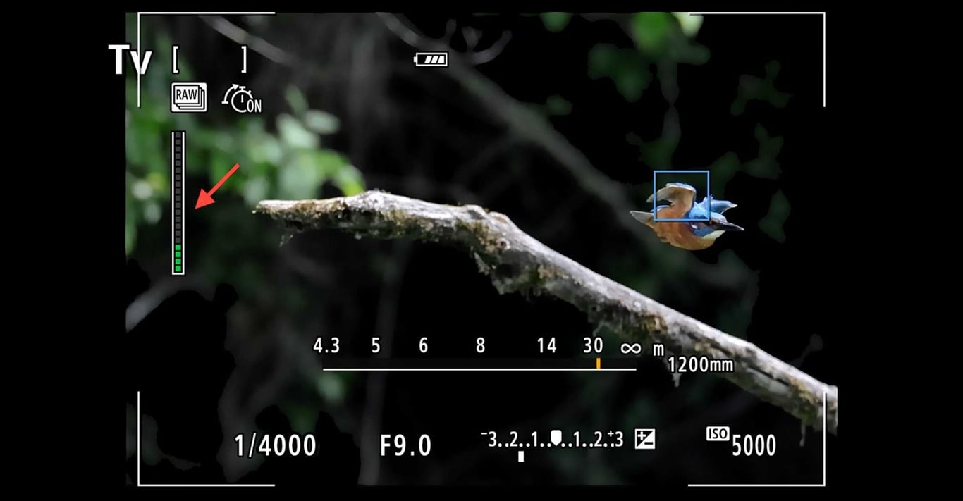 Fujifilm X-T5 và Canon EOS R7: Cuộc chiến không gương lật nâng cao
