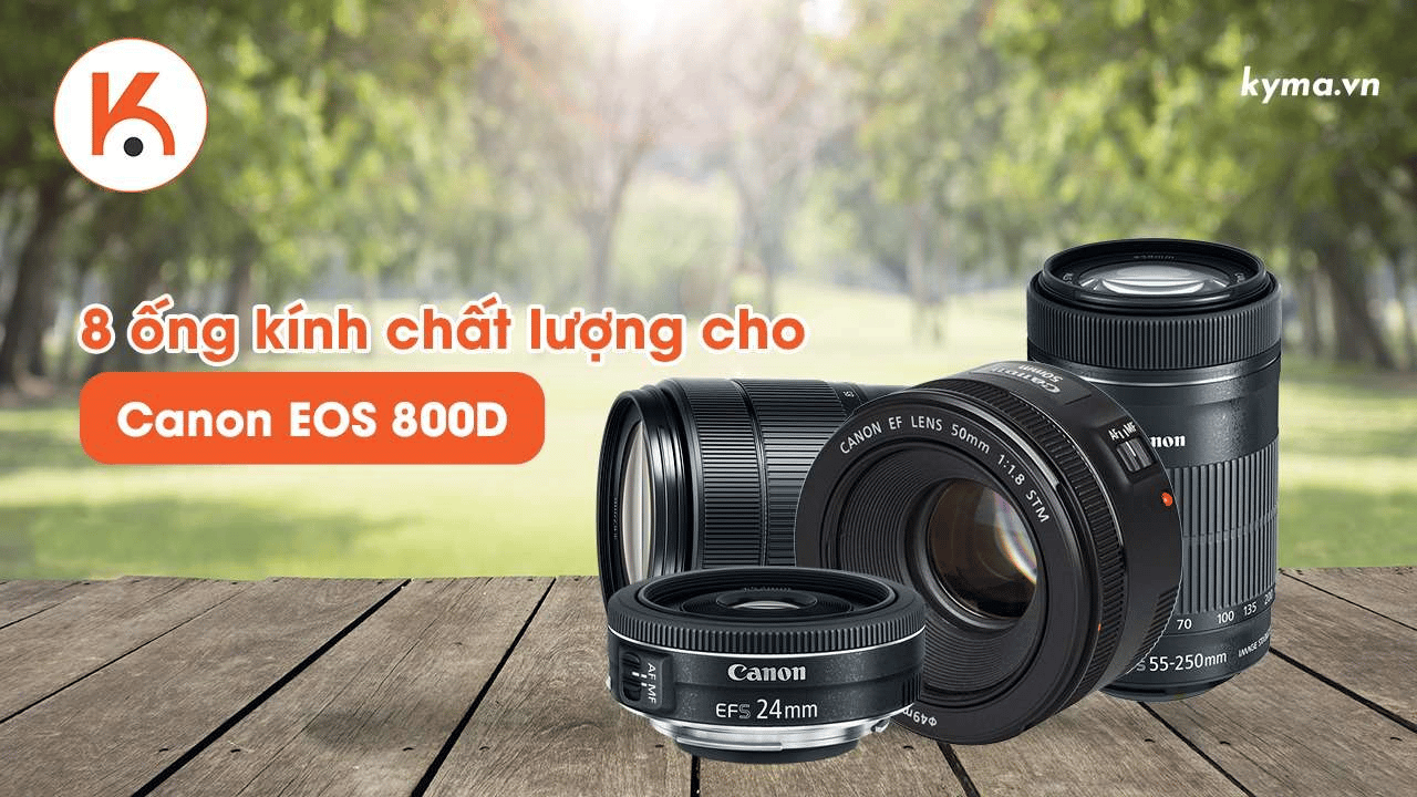 8 ống kính chất lượng đáng mua nhất cho Canon EOS 800D