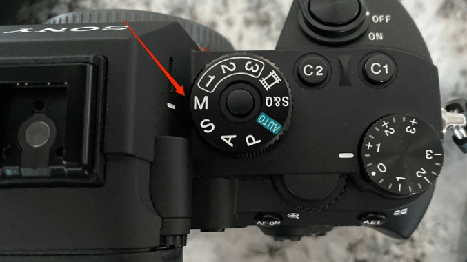 Mẹo thiết lập máy ảnh để chụp chim hoang dã