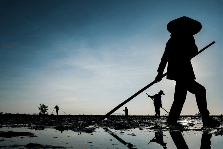 Cách sử dụng layer để nâng cao khả năng chụp ảnh của bạn