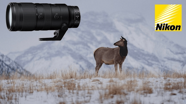 Danh sách ống kính tốt nhất cho Nikon Zf