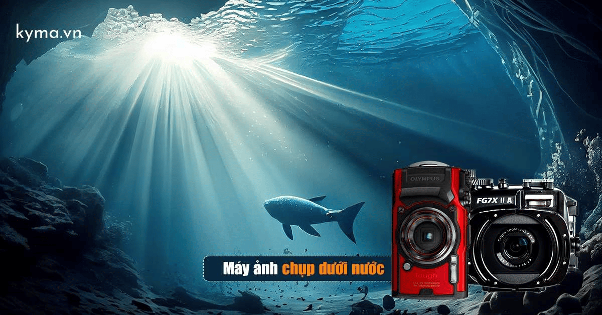 Điểm danh những dòng máy ảnh chụp dưới nước tốt nhất hiện nay