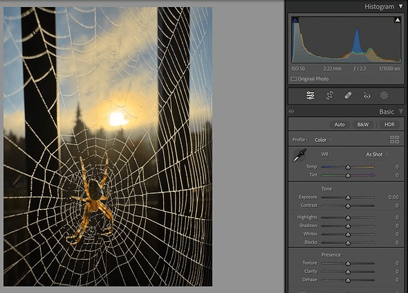 Adobe MAX 2023 và những điều người dùng Lightroom cần biết