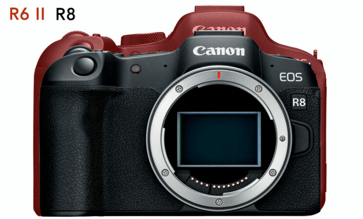 Canon R8 vs Canon R6 Mark II: IBIS đáng giá bao nhiêu?