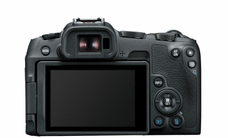 Canon R8 vs Canon R6 Mark II: IBIS đáng giá bao nhiêu?