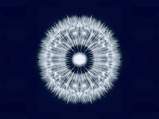 Tạo hình và ý nghĩa của hoa văn trong nhiếp ảnh