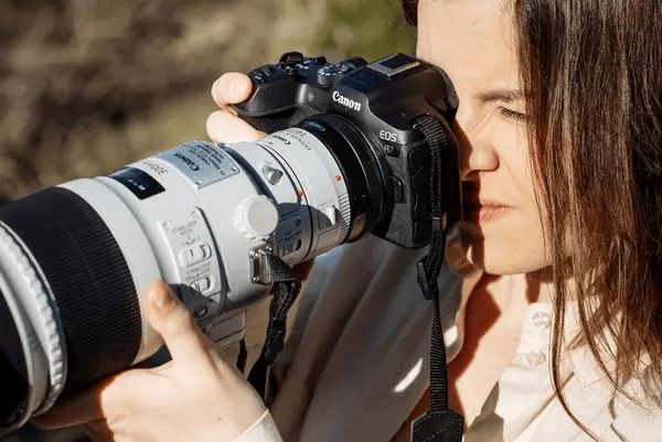 Liệt kê 5 máy ảnh Canon chinh phục thế giới động vật hoang dã