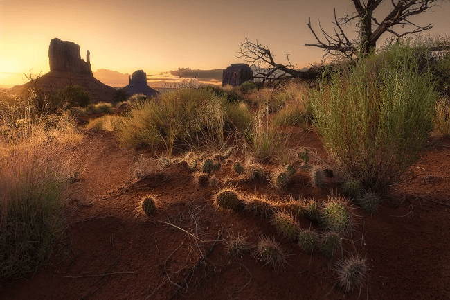 Làm chủ DOF trong nhiếp ảnh: Hướng dẫn toàn diện
