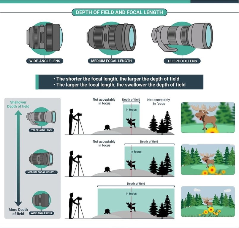 Làm chủ DOF trong nhiếp ảnh: Hướng dẫn toàn diện