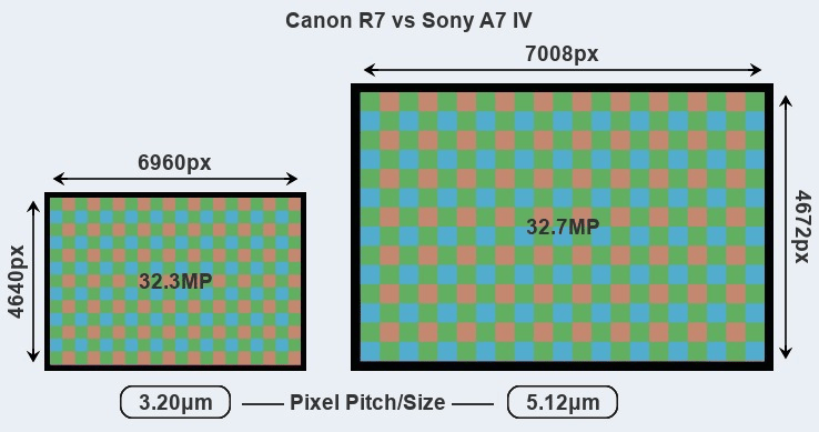 Canon EOS R7 và Sony A7 IV: Chọn máy ảnh crop hay full-frame?