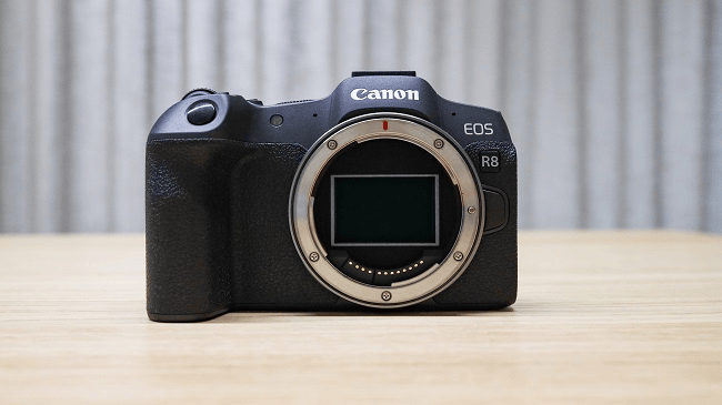 Canon R8 vs Canon R6 Mark II: IBIS đáng giá bao nhiêu?