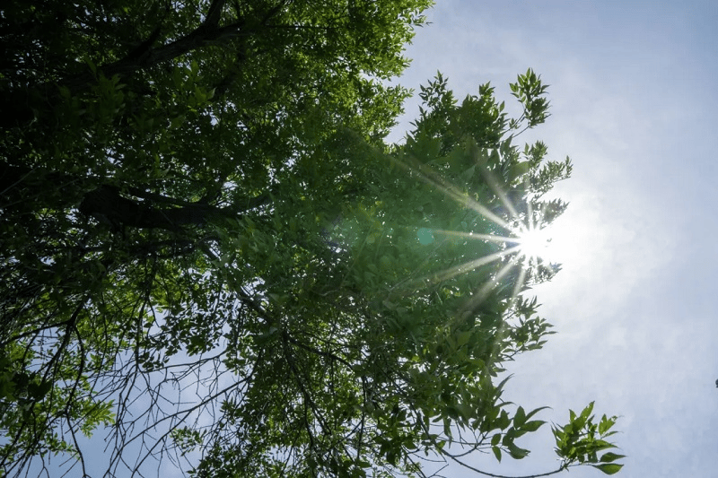 Sony E 11mm F1.8: Điểm sáng cho vlog, phong cảnh, nội thất