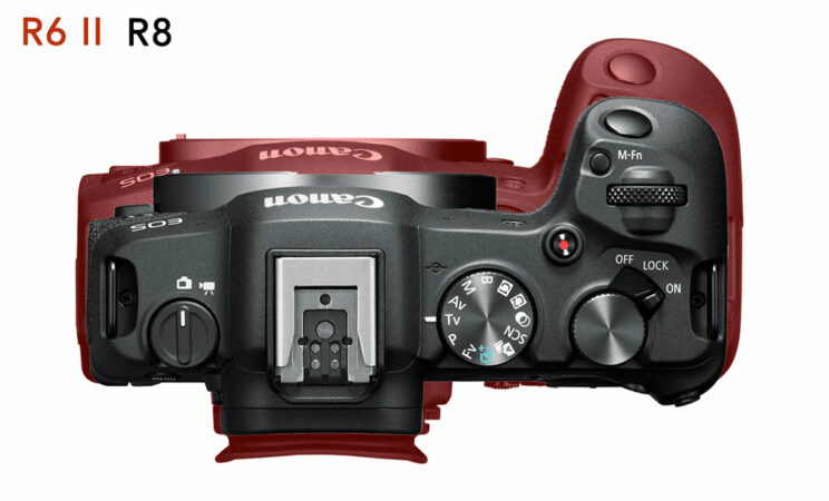Canon R8 vs Canon R6 Mark II: IBIS đáng giá bao nhiêu?