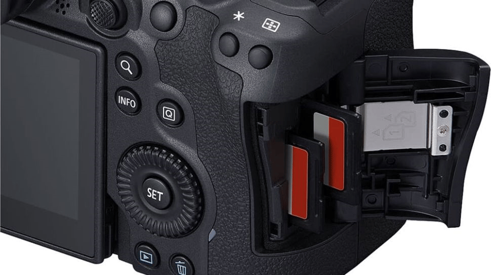 Canon R8 vs Canon R6 Mark II: IBIS đáng giá bao nhiêu?