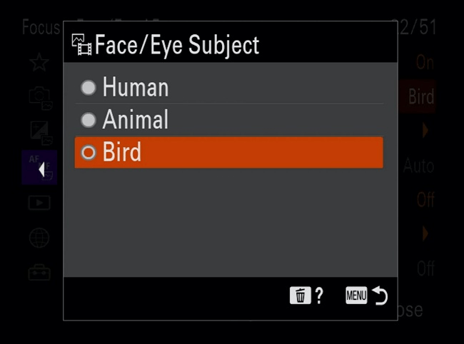 Mẹo thiết lập máy ảnh để chụp chim hoang dã