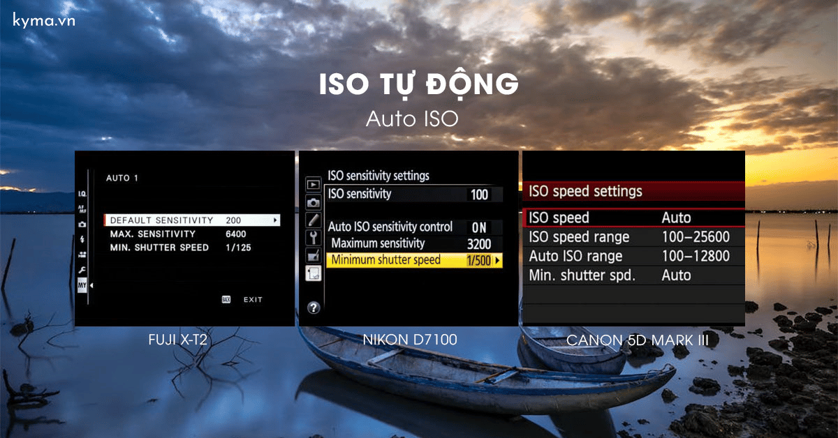 Tìm hiểu cách sử dụng ISO tự động hiệu quả trong nhiếp ảnh