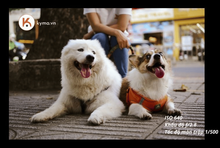 Trên tay Sony A7 Mark IV: Cú đột phá của dòng máy ảnh full-frame