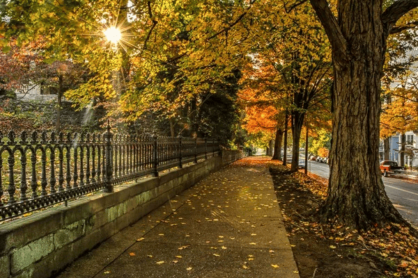 Làm chủ DOF trong nhiếp ảnh: Hướng dẫn toàn diện