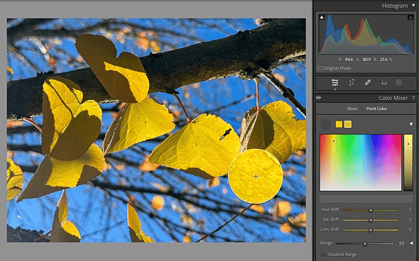 Adobe MAX 2023 và những điều người dùng Lightroom cần biết
