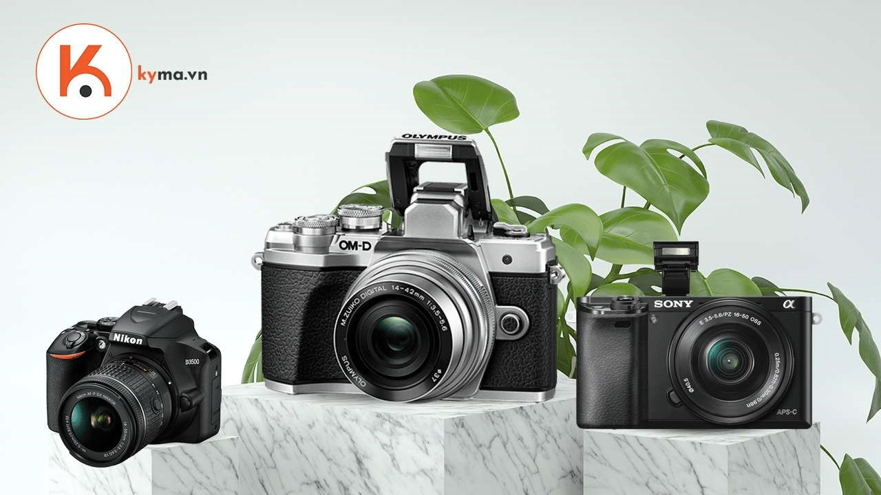 Máy ảnh DSLR và Mirrorless giá cả phải chăng nhất năm 2021