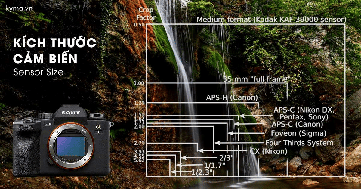 Các loại kích thước cảm biến thường gặp trong nhiếp ảnh