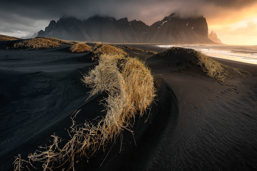 Kĩ thuật chụp ảnh focus stacking dành cho người mới bắt đầu