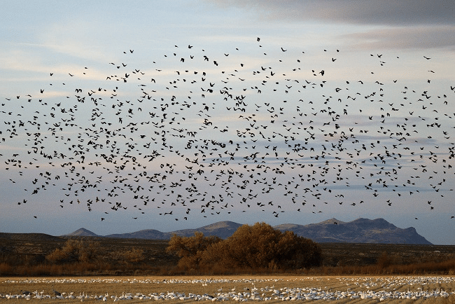 Danh sách ống kính tốt nhất cho Nikon Zf